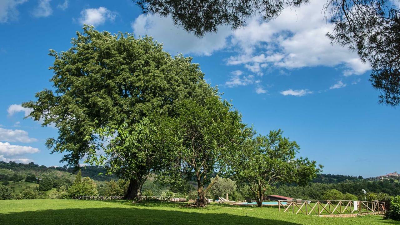 Agriturismo Bio Le Macchie Alte Manciano Exterior foto